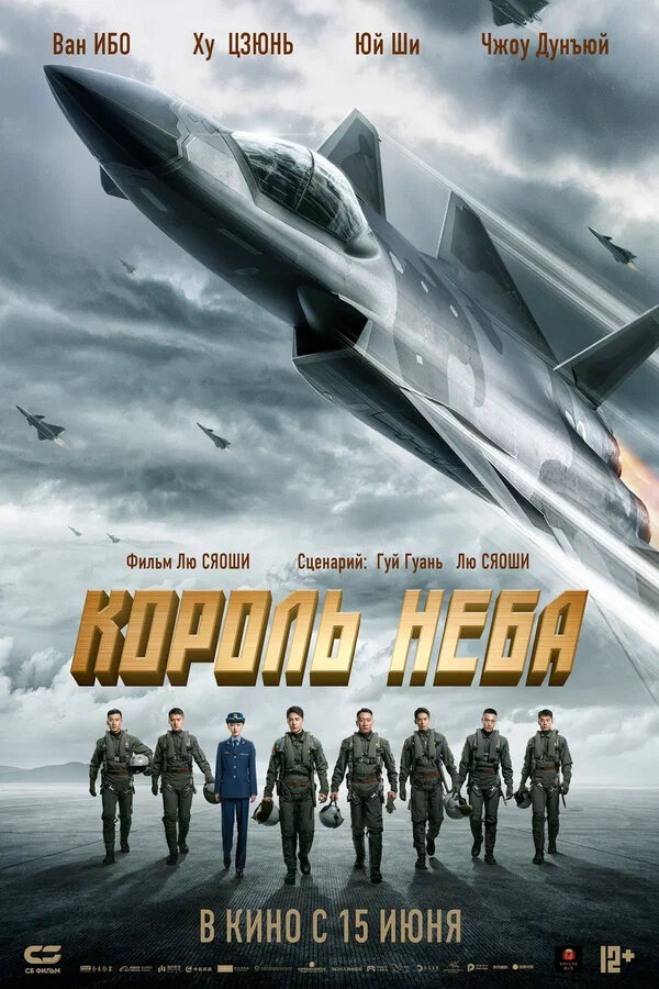 Король неба - постер